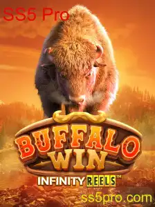 Explorando o Universo de BuffaloWin e a Relevância do SS5 Pro